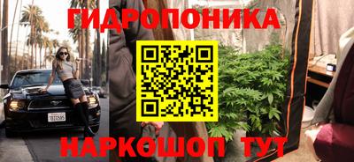 PSILOCYBIN Татарск