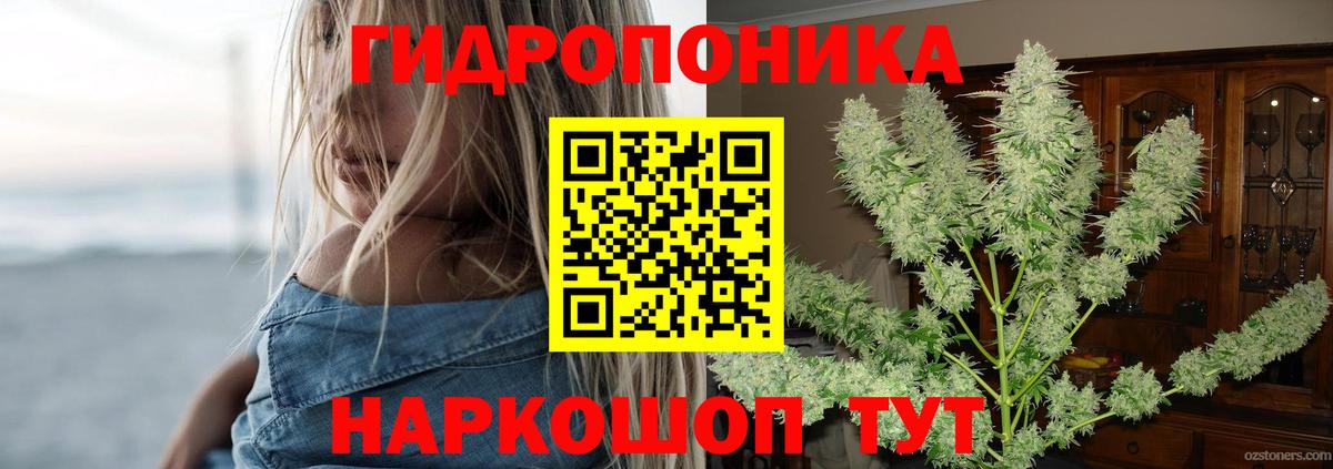Шишки марихуана семена  Марихуана Amnesia  Конопля Ganja  Волжск  Вход с VPN 